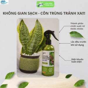 Chai Xịt Phòng Thơm Lâu